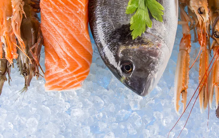 Lebensmittel mit hohem Vitamin D Gehalt Fische Roher Fisch, Lachsfiletstück und Garnelen auf Eis